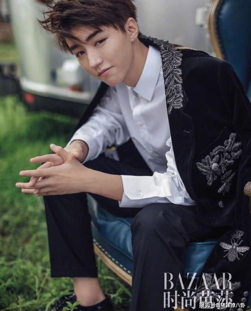 娱乐圈爆料王俊凯,娱乐圈爆料王，揭秘明星幕后故事  第3张