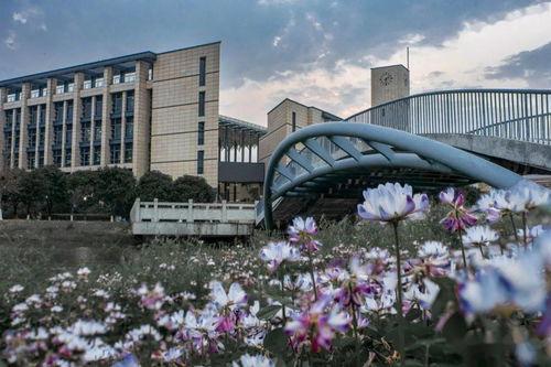 福州大学城爆料视频最新,揭秘校园生活新动态！  第3张