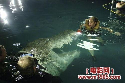 逃亡鳄鱼岛在线观看  第3张